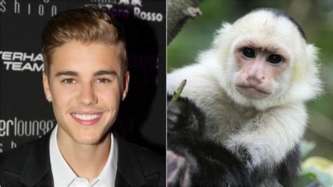 7 Celebrities With Surprisingly Exotic Pets Sheknows