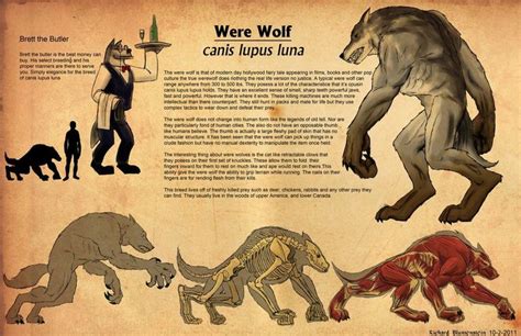 Pin By Kennis Ho On Wolf Werewolf Mythological Creatures Creatures