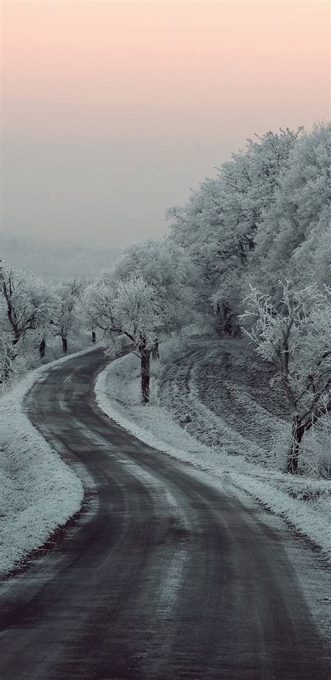 1440x2960 Winter Road Snow Frozen Trees On Sides 5k Samsung Galaxy Note