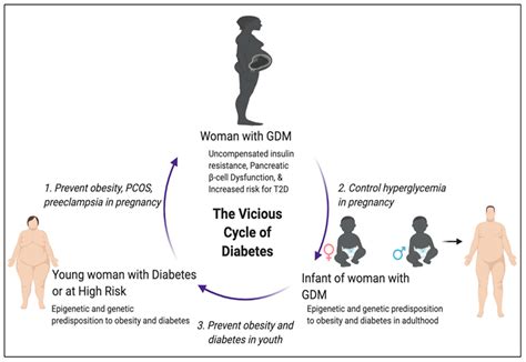IJMS | Free Full-Text | Gestational Diabetes Mellitus: A Harbinger of