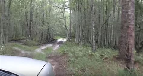 Bigfoot Evidence Strange Bigfoot Findings In Florida