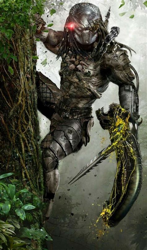 Jungle Hunter Predator Hunts Xenomorph Predator Predator2 Predators