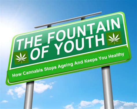 5 Ways Cannabis Slows Down The Aging Process