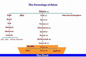 Genealogies