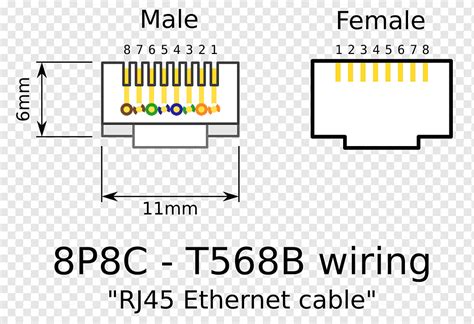 Cat 5 Cable Connector Wiring Diagram Diagram Board