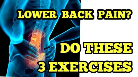 3 Best Exercises To Reduce Lower Back Pain How To Stop Lower Back Pain