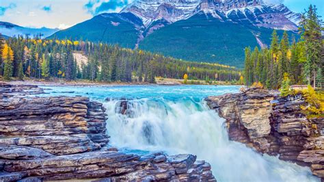 Athabasca Falls Jasper Book Tickets And Tours Getyourguide