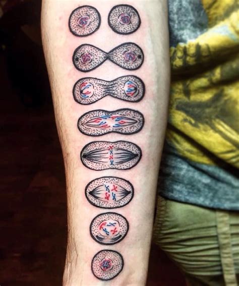 Pin By Tattoo Sensations On Inspiring Tattoo Ideas Biology Tattoo