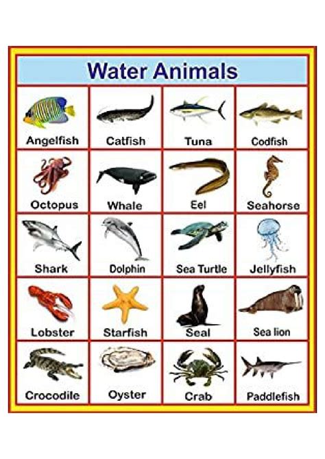 Fishes Aquatic Animals Animals Chart For Kids Aquatic