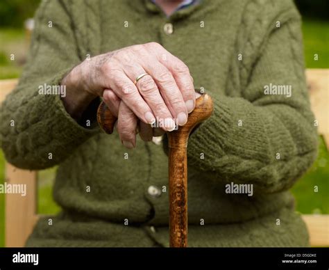 Walking Stick Hi Res Stock Photography And Images Alamy