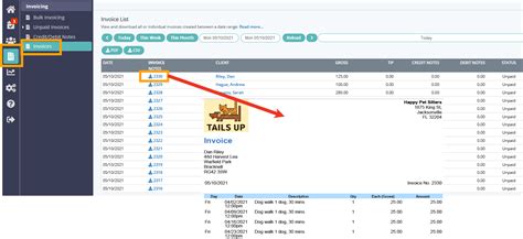 Getting Started Invoicing Clients Pet Sitter Plus