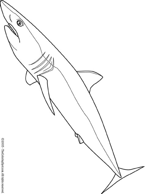 Mako Shark Coloring Pages Mako Shark Coloring Page At Getcolorings