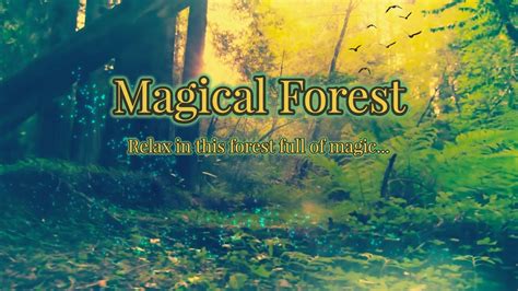 Magical Forest Youtube