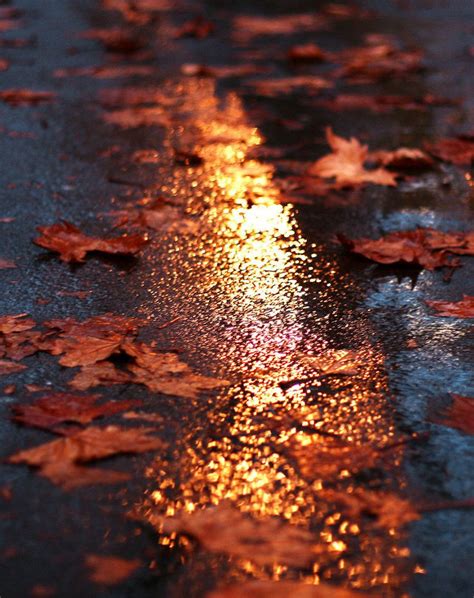Pin By Brokenheart 70 On A Moment On The Street Autumn Aesthetic