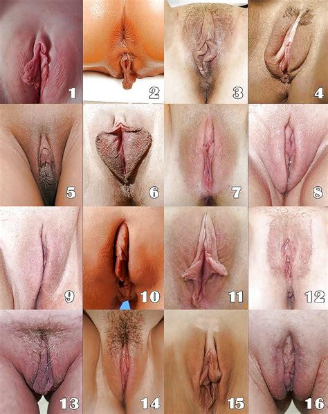 Select Your Favorite Pussy Shape Pics Xhamster My Xxx Hot Girl