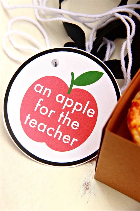 Larissa Another Day An Apple For Teacher