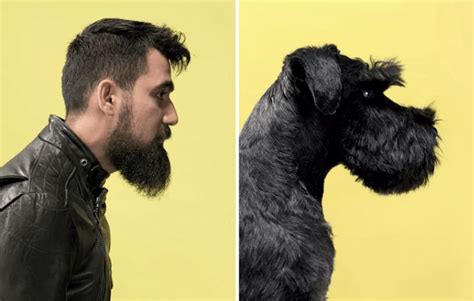 These Photos Prove Dogs Look Like Their Owners