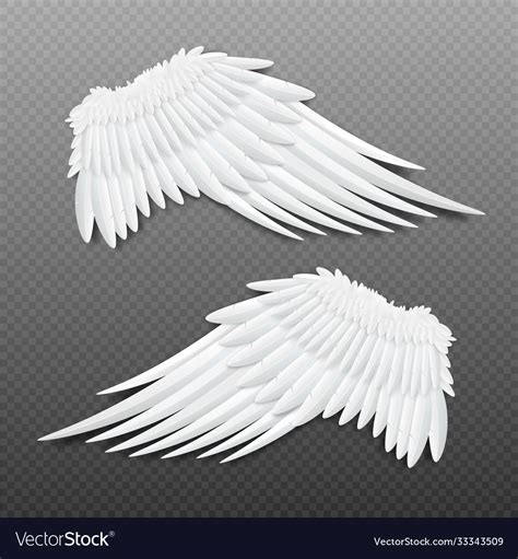 Angel Or Bird Wings With Feathers Realistic Vector Image