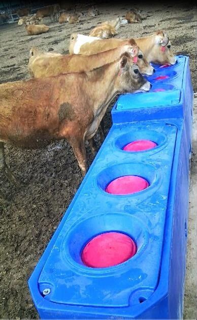 4m 6 Holes Heavy Duty Pe Livestock Water Tank