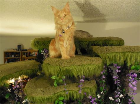 Best cat trees that look like real trees to buy. Realistic Cat Tree by the Hollywood Kitty Company