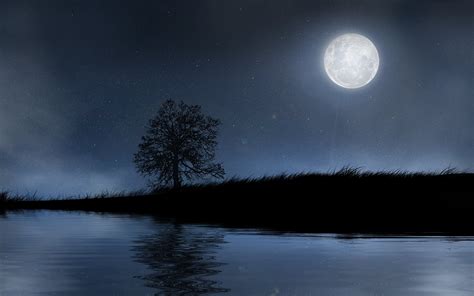 Well, you are at the right. Moon Full HD Wallpaper and Background Image | 1920x1200 ...