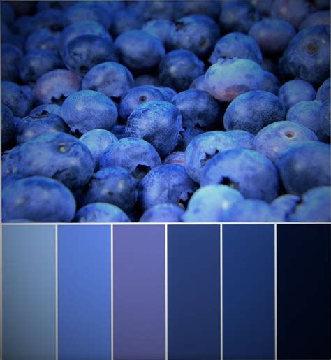 Blueberries Colores Paletas De Colores Envases De Jugo Design Seeds
