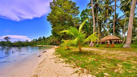 Nature Landscape Beach Palm Trees Grass Tropical Boat Sunshade Chair Sand Sea