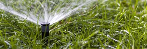 Signs Youre Overwateringunderwatering Your Lawn The Grass Outlet