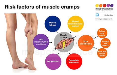 What Causes Muscle Cramps In Exercise