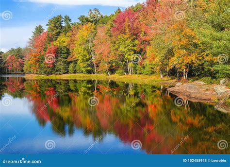 Autumn Foliage Tree Reflections In Pond Stock Image Image Of Scenic