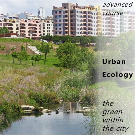 Urban Ecology The Green Within The City Training Ce3c