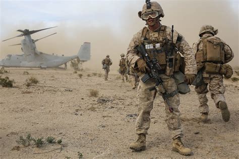 What Marine Corps Combat Tactics Can Teach You About Business