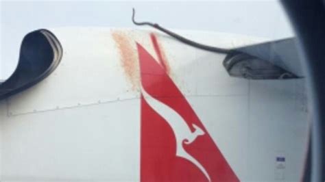 Qantas Crews Are Battling A Snakes On A Plane Problem Au