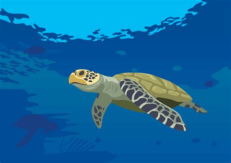 Turtles At The Sea 202811 Vector Art At Vecteezy