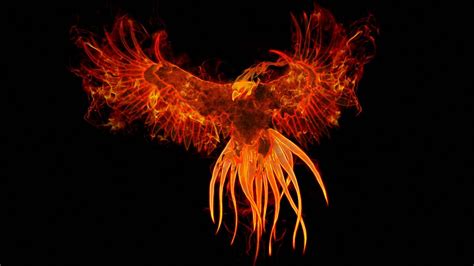 Hd Phoenix Wallpapers Top Những Hình Ảnh Đẹp