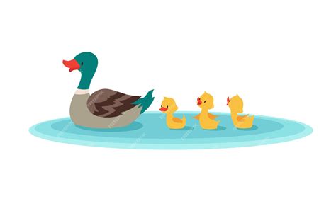 Madre Pato Y Patitos En El Agua Patitos Nadando En Fila Vector Premium