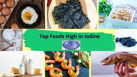 Top Foods High In Iodine YouTube