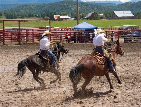 Eigenaren Van Een Ranch Die Bij Een Rodeo In Colorado Concurreren