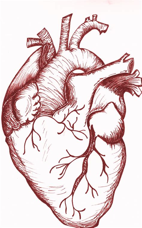 Sole Lines Heart Sketch