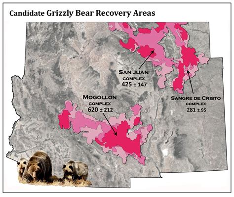 Grizzly Bears For The Southwest History And Prospects For Grizzly Bears