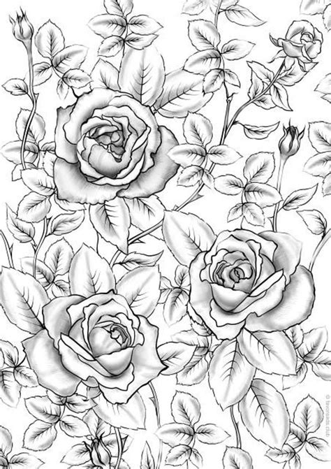 A lot of printable coloring pages can be available on just a couple of clicks on our website. Ausmalbilder F Erwachsene Rosen - tiffanylovesbooks.com