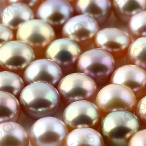 Purple Freshwater Cultured Pearls Half Drilled Button 6 65mm Etsy