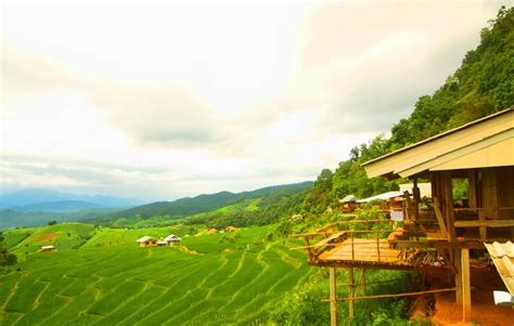 Pa Pong Piang Rice Terraces Chiang Mais Best Kept Secret