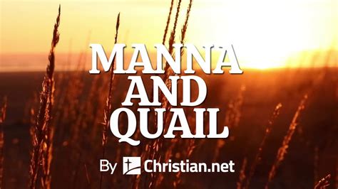 Exodus 16 Manna And Quail Bible Stories Youtube