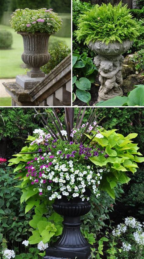 17 Beautiful Container Garden Ideas And Plant Pots