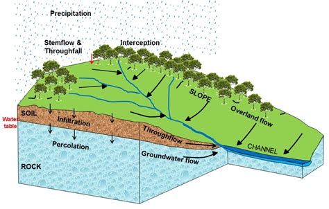 Drainage Basin Labelled Diagram