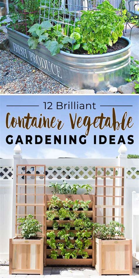 12 Brilliant Container Vegetable Gardening Ideas The Garden Glove