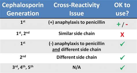 Penicillin Cross Reactivity Getmysenturin
