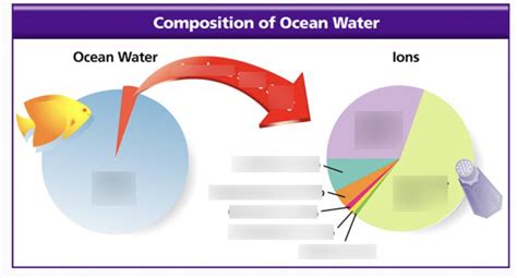 Earths Waters Chapter 3 Section 3 Composition Of Ocean Water Diagram