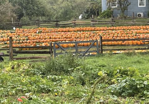 Ashley Creek Farm Pumpkin Fest 2023